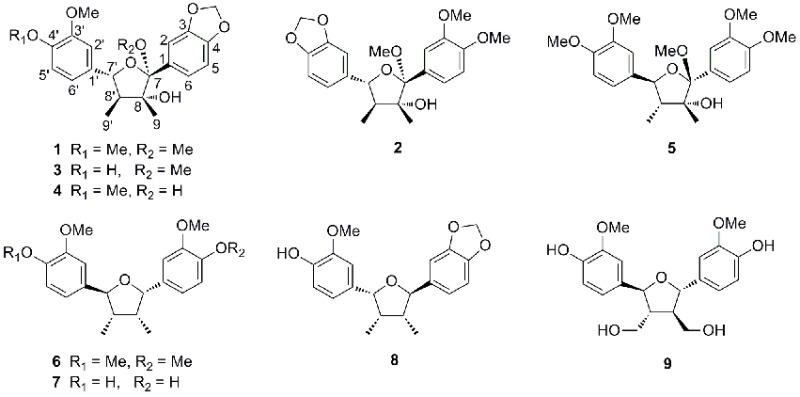 graphic file with name 13659_2013_17_Article_Fig1_HTML.jpg