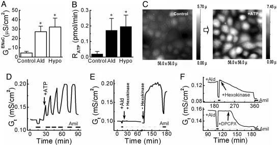 Fig. 4.