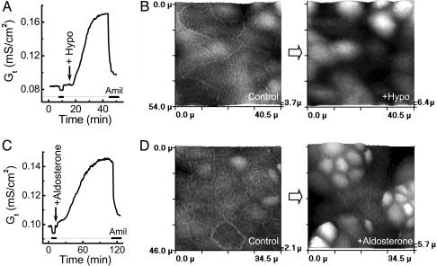 Fig. 2.