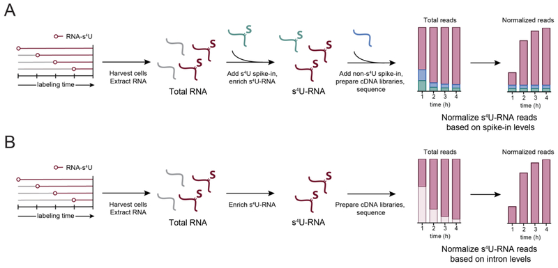 Figure 4: