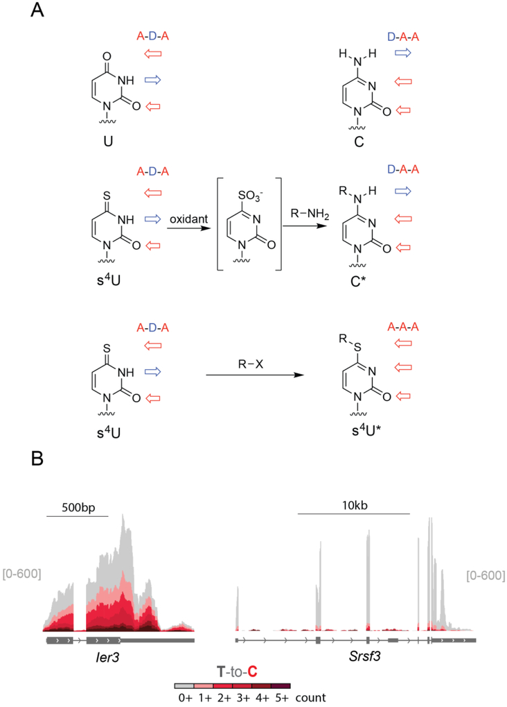 Figure 5: