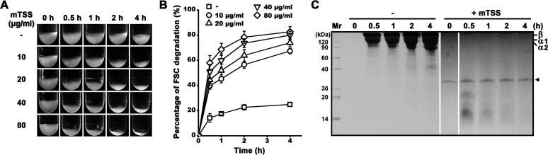 FIG 9