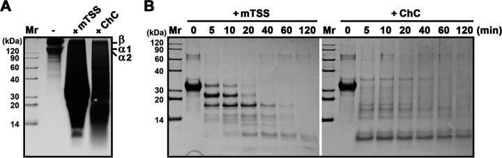 FIG 6