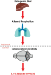 Graphical Abstract