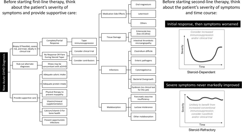 graphic file with name hem.2021000300_s1.jpg