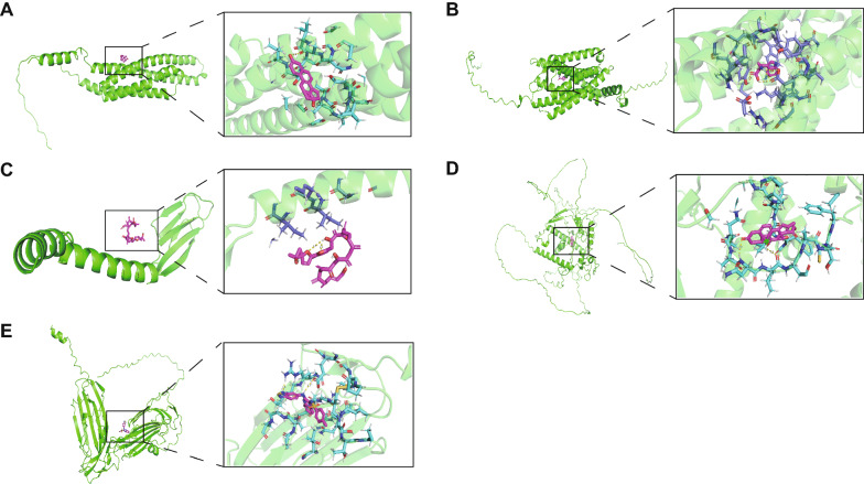 Fig. 7