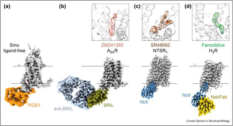 Figure 4