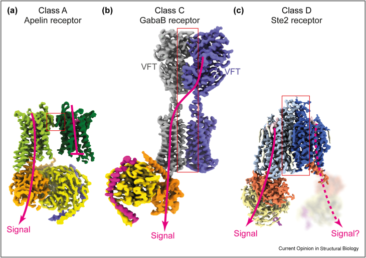 Figure 3