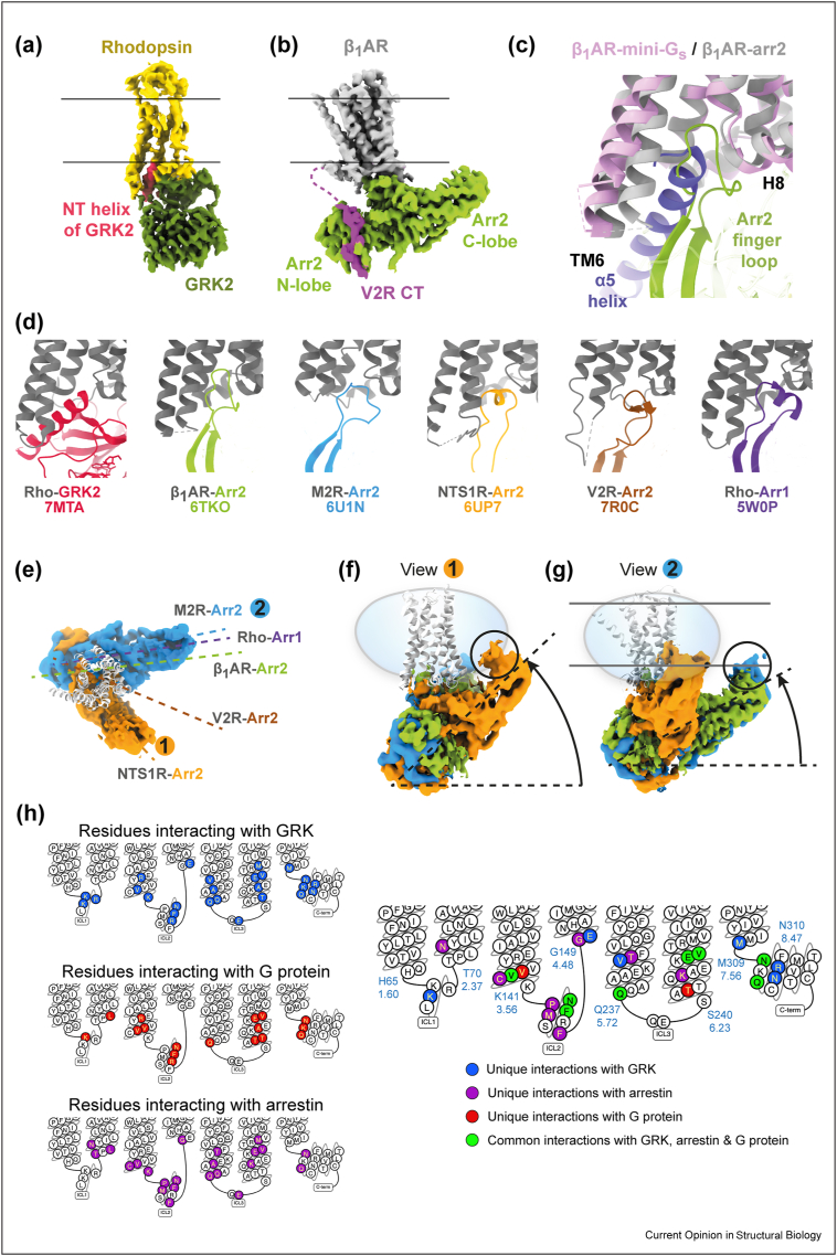 Figure 2