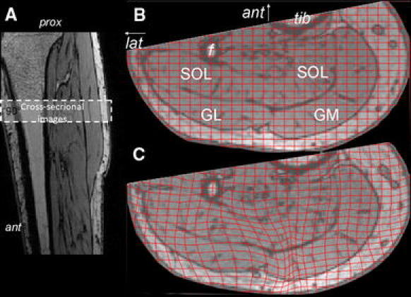 Fig. 4