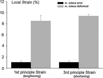 Fig. 6