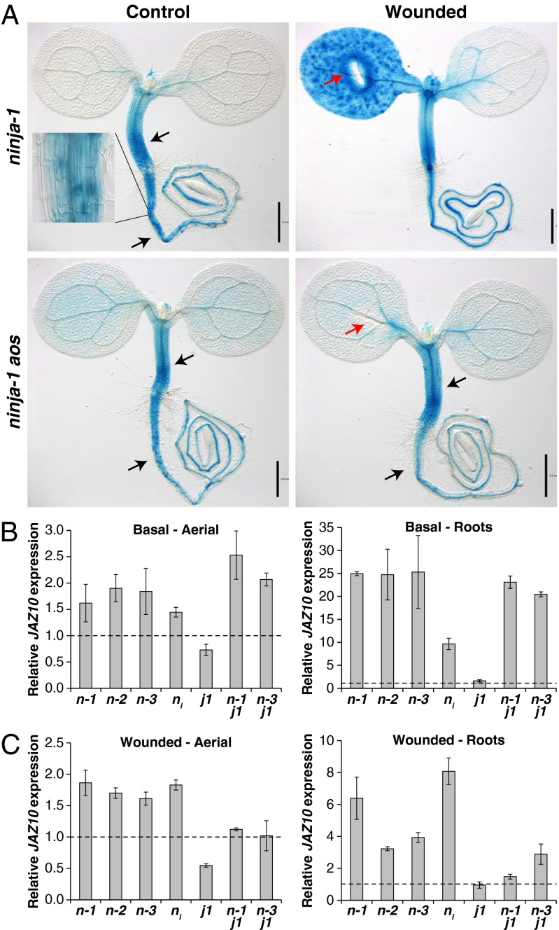 Fig. 3.