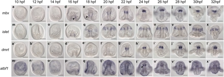 Fig. 3