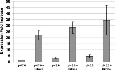 FIG. 6.