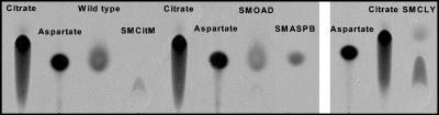 FIG. 7.