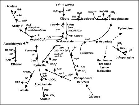 FIG. 2.