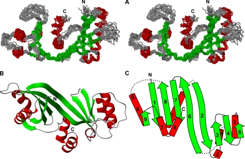 FIGURE 2.