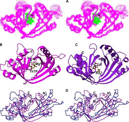 FIGURE 4.