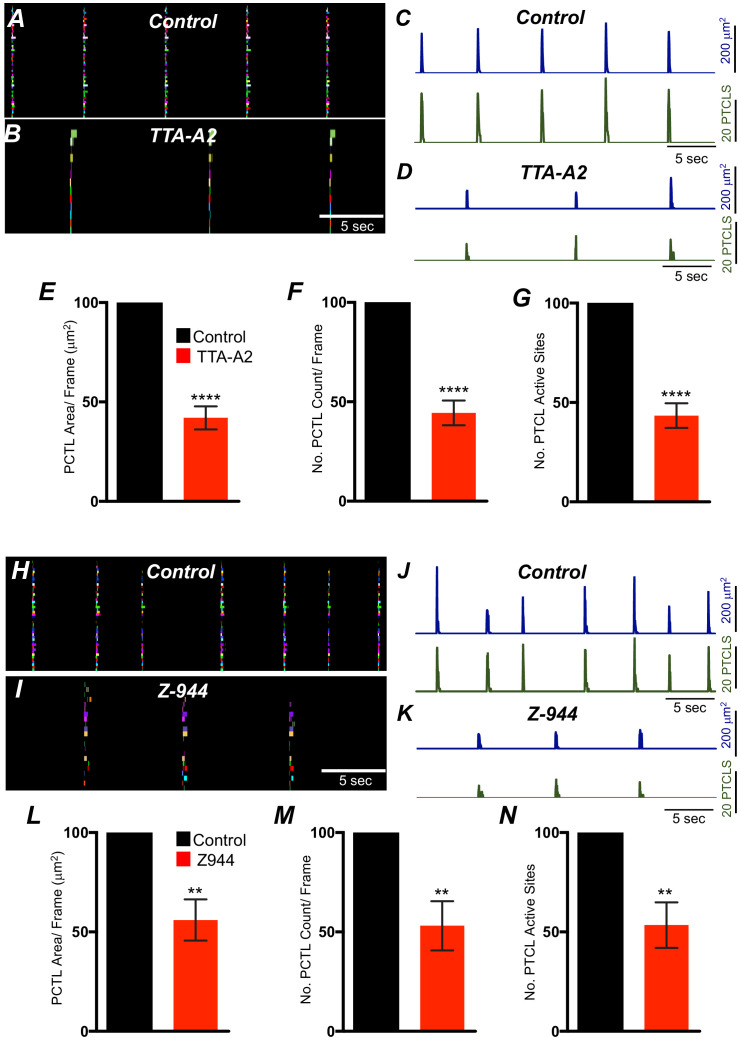 Figure 10—figure supplement 1.