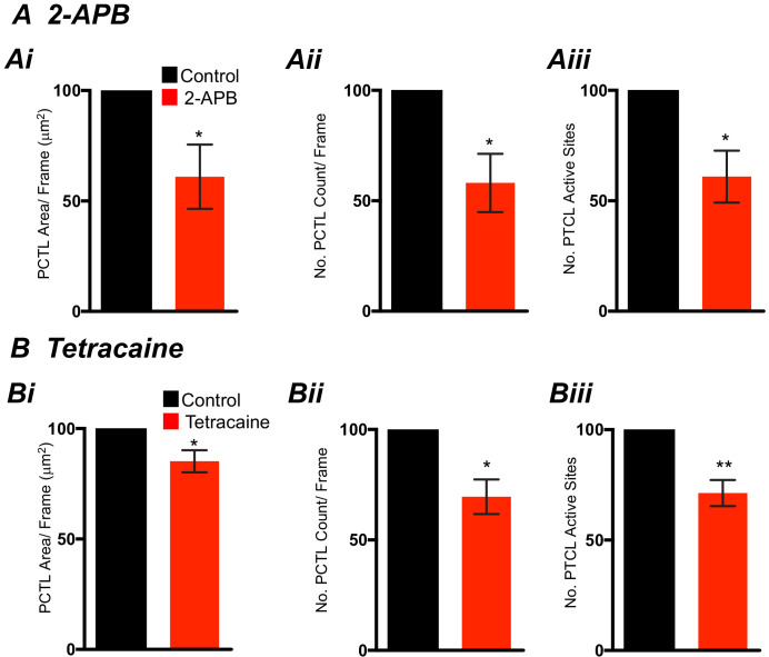 Figure 13—figure supplement 2.