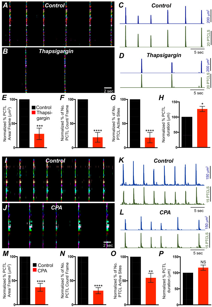 Figure 12.