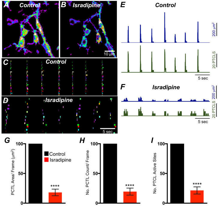 Figure 9—figure supplement 1.