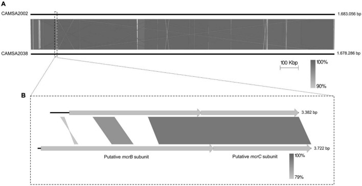 FIGURE 4