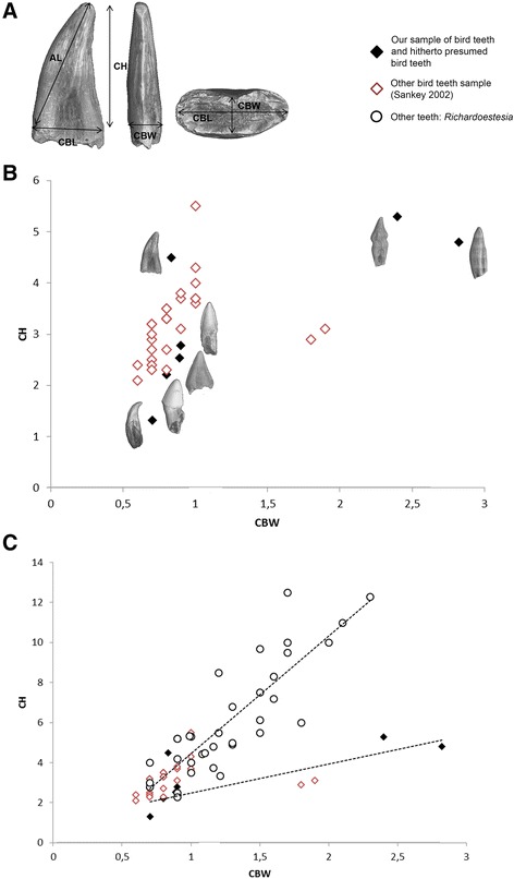 Fig. 5