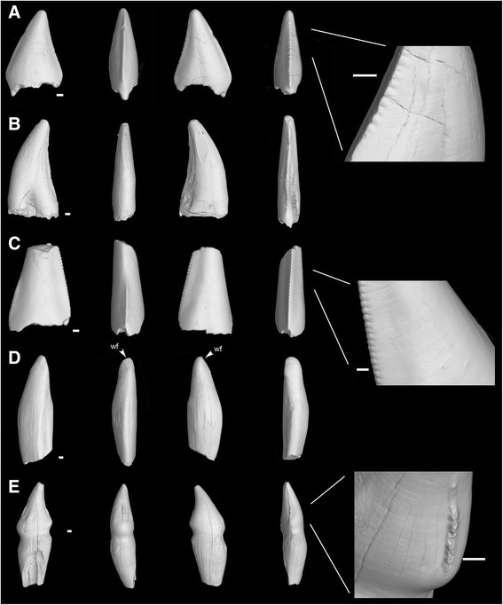 Fig. 4