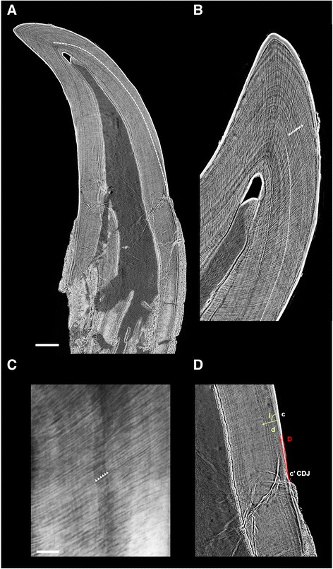 Fig. 9