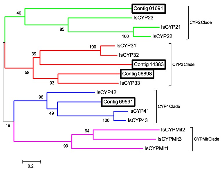 Figure 5