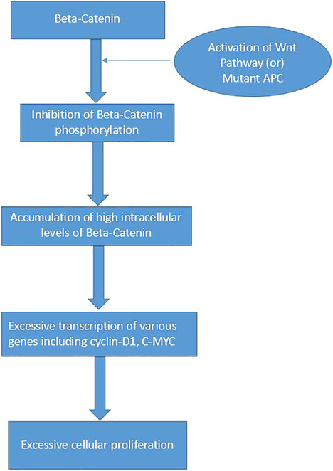 Fig. 10 -