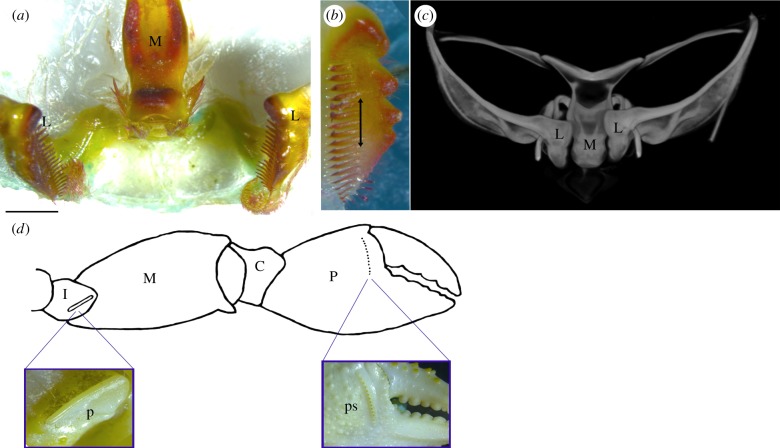 Figure 4.