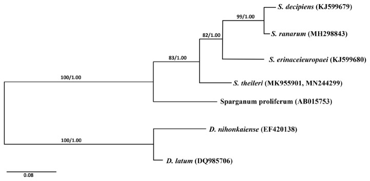 Fig. 2