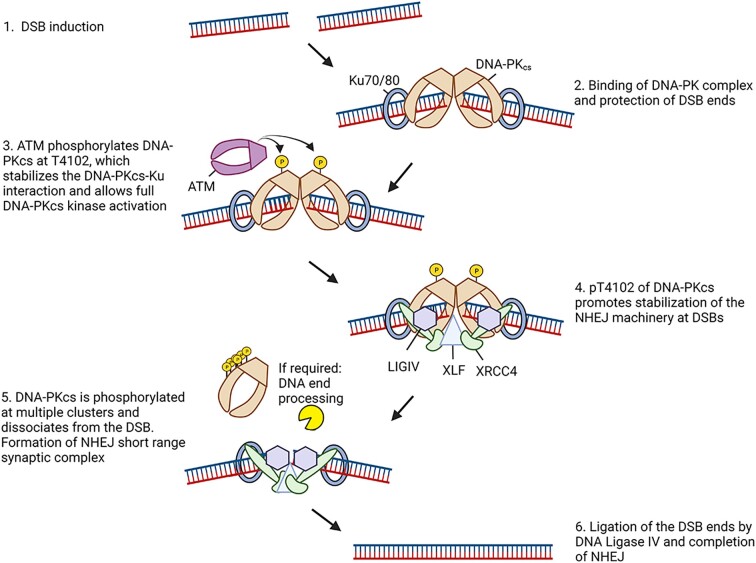 Graphical Abstract