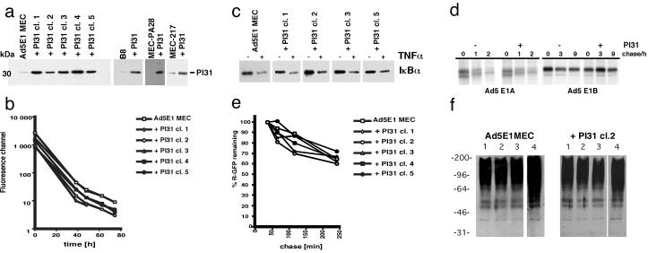 Fig 1.