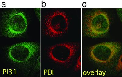 Fig 4.