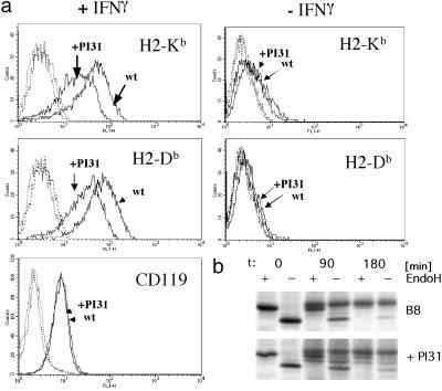 Fig 6.