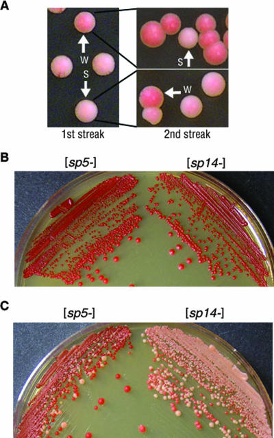 FIG. 4.