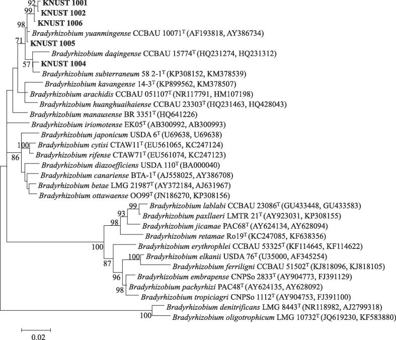 Fig. 2