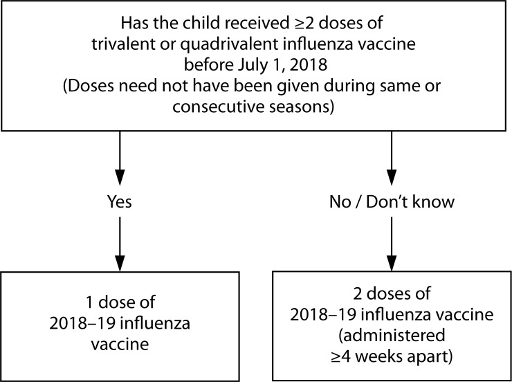 The figure above portrays the influenza vaccine dosing algorithm for children aged 6 months through 8 years recommended by the Advisory Committee on Immunization Practices for the 2018–19 influenza season in the United States. If the child has received 2 or more doses of trivalent or quadrivalent influenza vaccine before July 1, 2018 (doses need not have been given during same or consecutive seasons), the child should receive 1 dose of 2018–19 influenza vaccine. If the child has not received 2 or more doses of trivalent or quadrivalent influenza vaccine before July 1, 2018, or if it is not known whether the child has received vaccine, the child should receive 2 doses of 2018–19 influenza vaccine (administered 4 or more weeks apart).