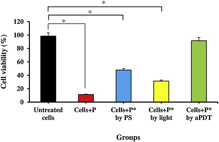 Fig. 10