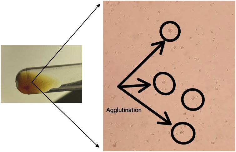 Fig. 3