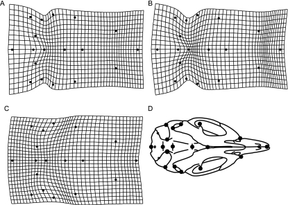 Fig. 3