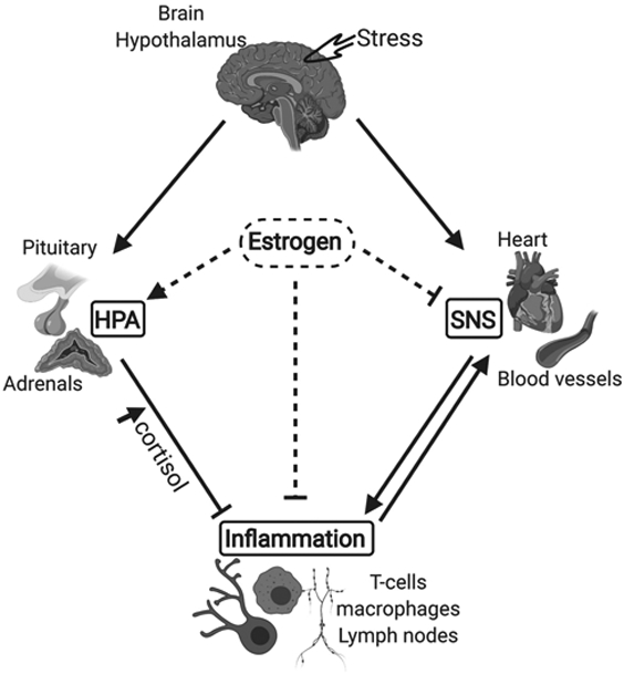 Figure 2: