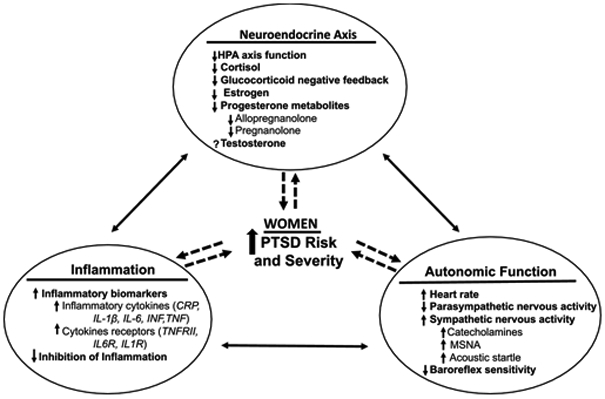 Figure 1: