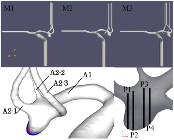 Figure 2