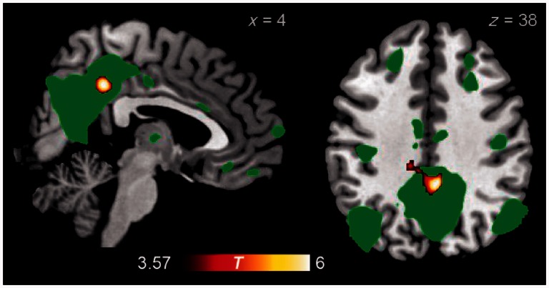 Figure 5