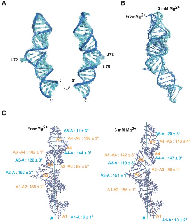 FIGURE 3.