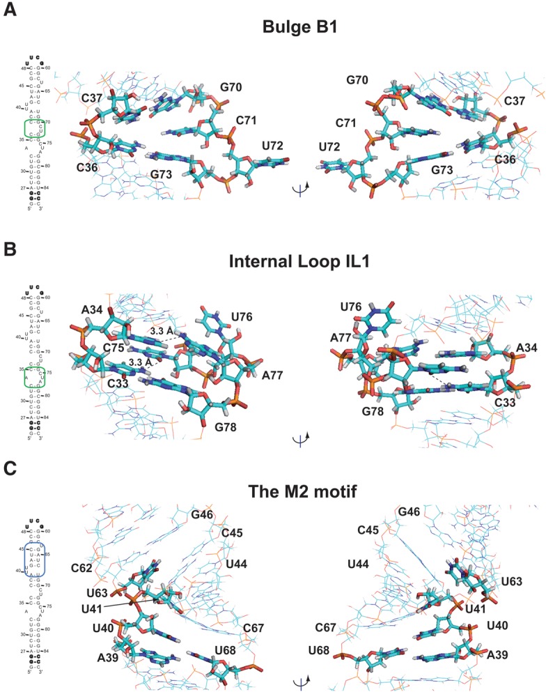 FIGURE 4.